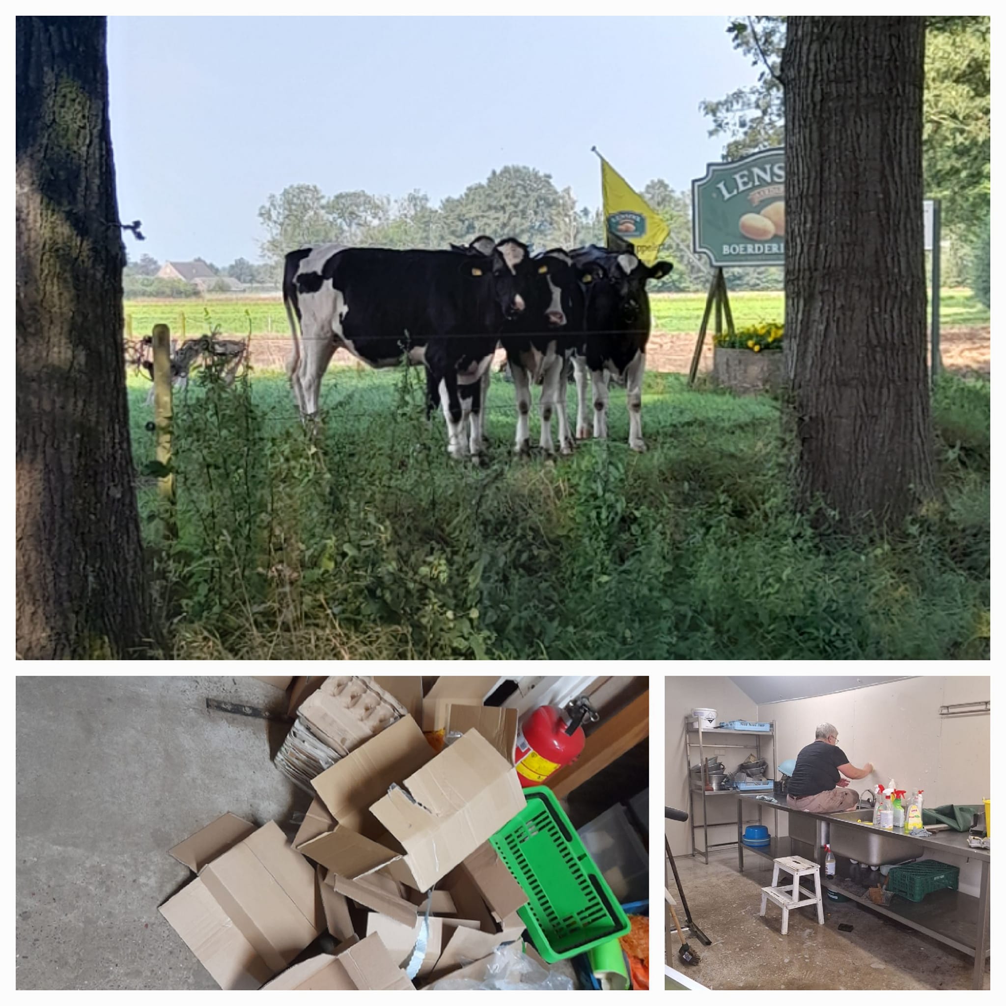Pieperdag 2024 bij Lensink Aardappelen Aalten.
